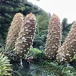 팜스테이 Waldbauernhof