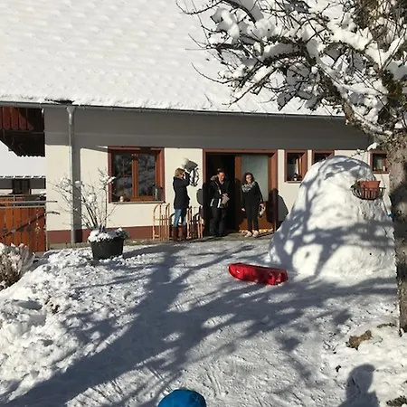 Apartment Waldbauernhof Hornberg
