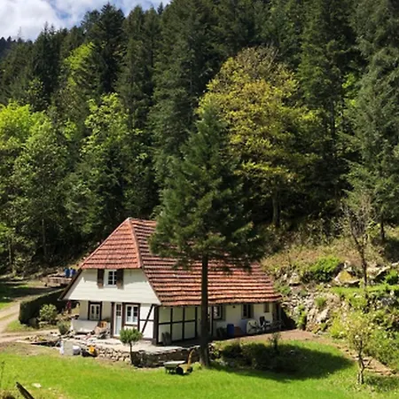 Apartment Waldbauernhof *