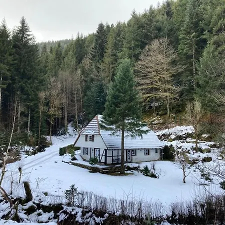 Waldbauernhof Apartment Hornberg