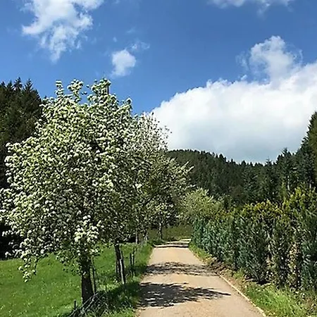 Bauernhof Waldbauernhof Hornberg
