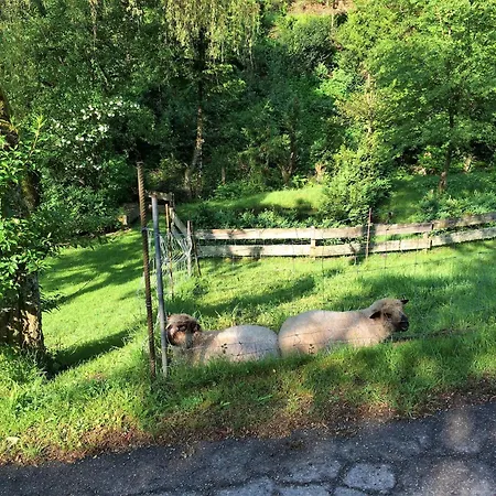 Waldbauernhof Hornberg