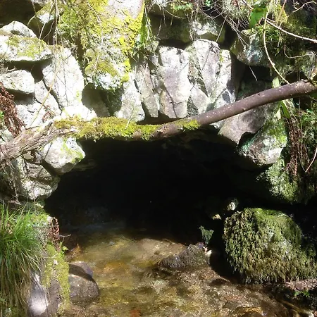 Waldbauernhof Bauernhof Hornberg