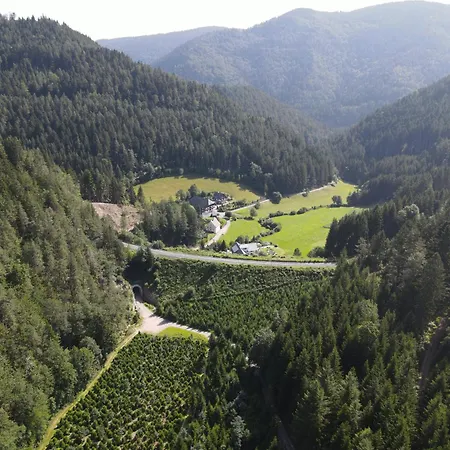 Bauernhof Waldbauernhof *