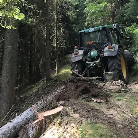 Waldbauernhof Bauernhof Hornberg