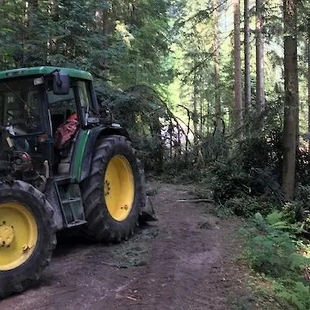 Bauernhof Waldbauernhof Hornberg