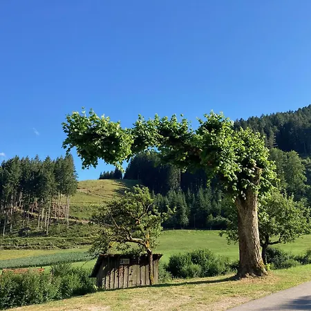 Bauernhof Waldbauernhof Hornberg
