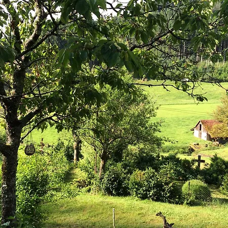 Waldbauernhof בית חווה