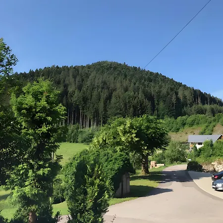 Waldbauernhof Bauernhof Hornberg