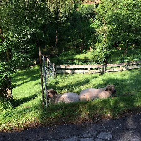 בית חווה Waldbauernhof