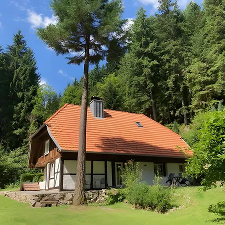 Bauernhof Waldbauernhof