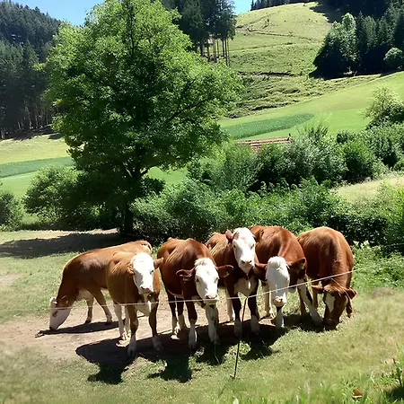 Waldbauernhof בית חווה *