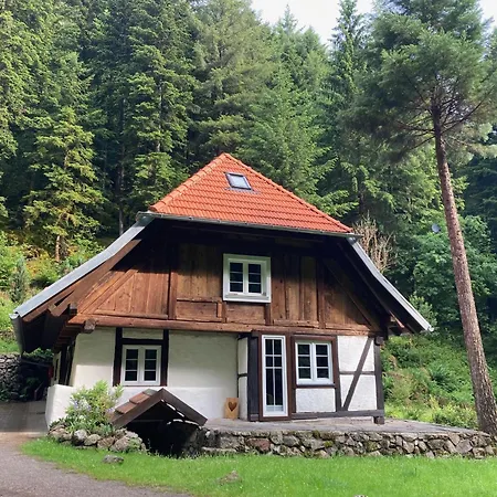 Waldbauernhof בית חווה