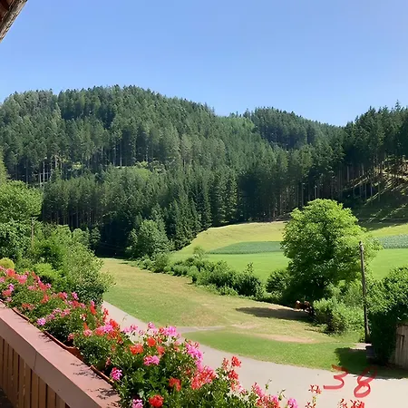 בית חווה Waldbauernhof