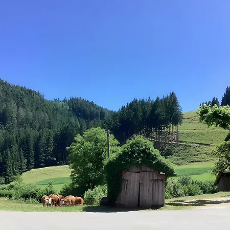 Waldbauernhof Agroturismo