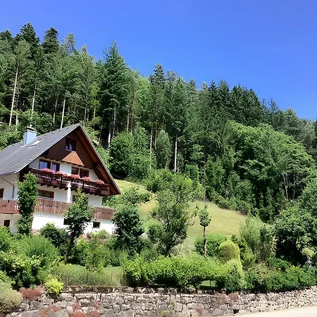 Agroturismo Waldbauernhof Hornberg