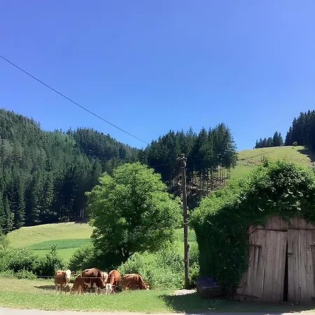 Фермерский дом Waldbauernhof Хорнберг
