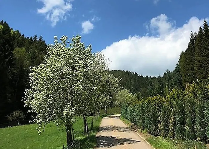 Farm stay Waldbauernhof Hornberg