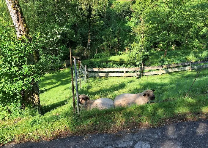 Waldbauernhof Hornberg