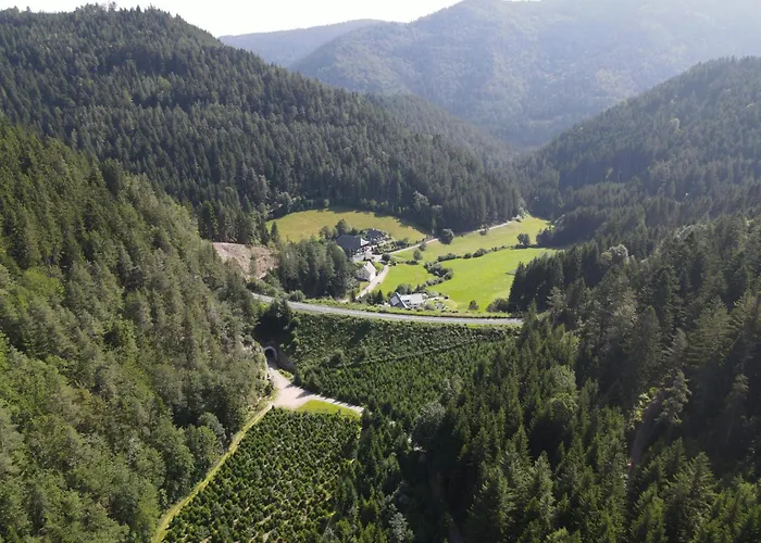 Farm stay Waldbauernhof *