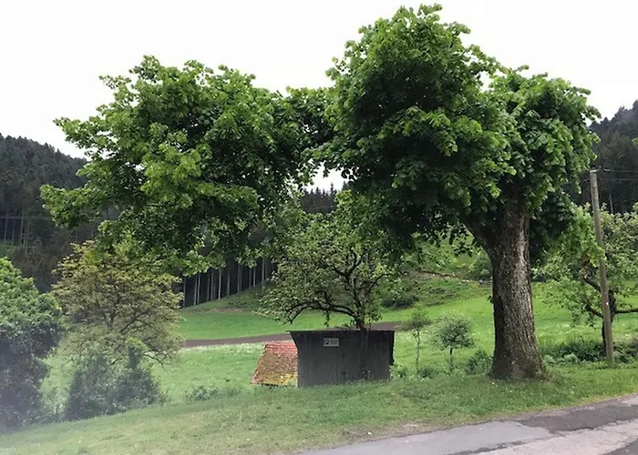 Waldbauernhof * Hornberg