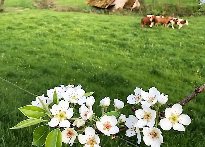 Farm stay Waldbauernhof