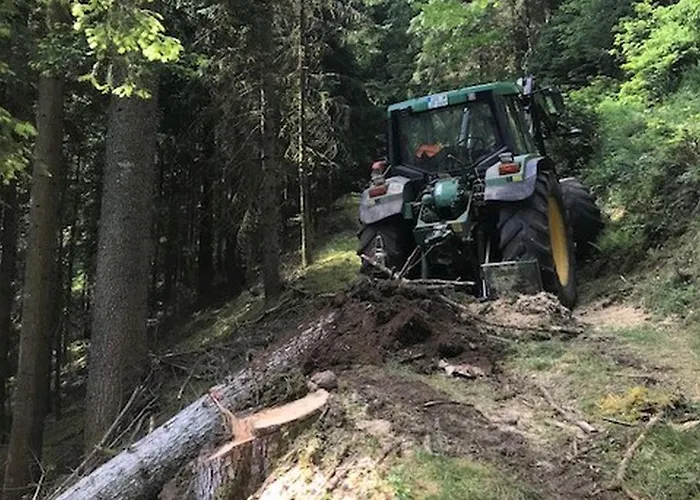 Waldbauernhof Agroturismo Hornberg