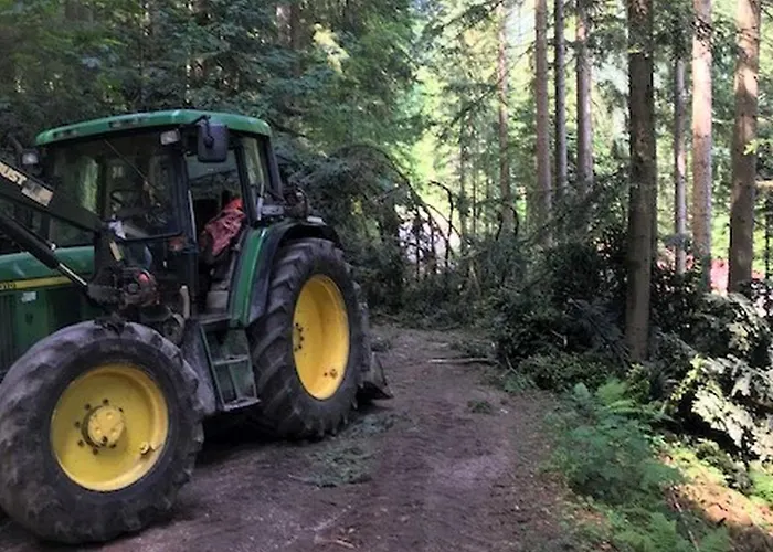Agroturismo Waldbauernhof Hornberg